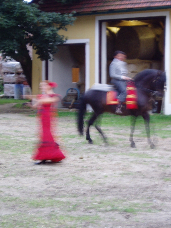 Lilienhof 270805 139